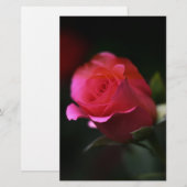 Mooie rode rozen briefpapier (Voorkant / Achterkant)