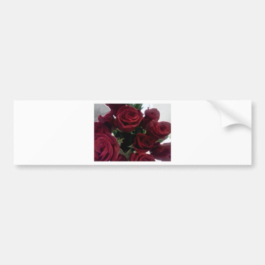 MOOIE RODE ROZEN BUMPERSTICKER (Voorkant)