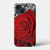 Mooie rode rozen Case-Mate iPhone case (Achterkant)