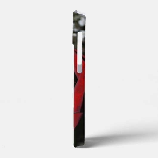 Mooie rode rozen Case-Mate iPhone case (Achterkant / Links)