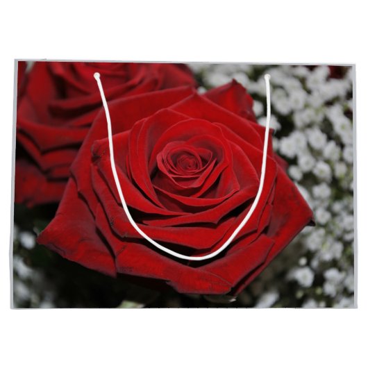 Mooie rode rozen groot cadeauzakje (Achterkant)