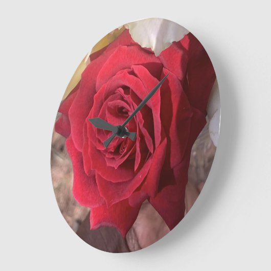Mooie rode rozen grote klok (Hoek)