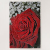 Mooie rode rozen legpuzzel (Verticaal)