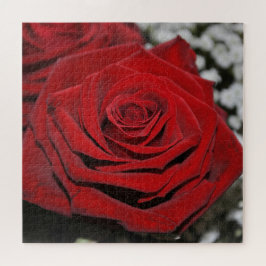 Mooie rode rozen legpuzzel