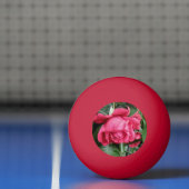Mooie rode rozen pingpongbal (Net)