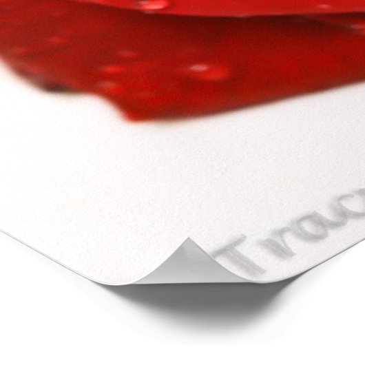 Mooie rode rozen poster (Hoek)