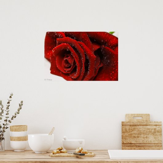 Mooie rode rozen poster (Keuken)