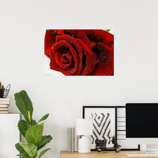 Mooie rode rozen poster (Thuiskantoor)