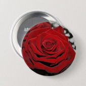 Mooie rode rozen ronde button 7,6 cm (Voorkant /achterkant)