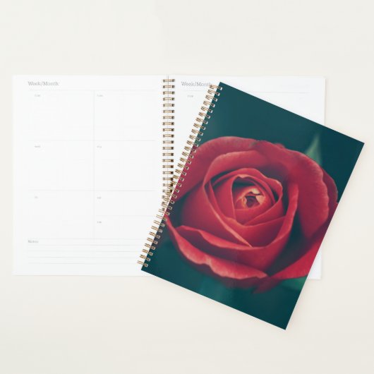 Mooie rode rozenbloem planner (Display)