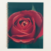 Mooie rode rozenbloem planner (Voorkant)