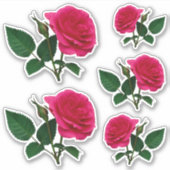 Mooie rode rozenfoto Transparant CC1145 Sticker (Voorkant)