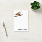 Mooie, rode snat op een filiaal post-it® notes (Kantoor)