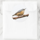 Mooie, rode snat op een filiaal ronde sticker (Tas)