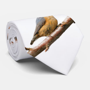 Mooie, rode snat op een filiaal stropdas