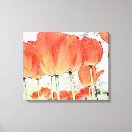 mooie rode tulp bloemen gewikkeld canvas afdruk (Voorkant)