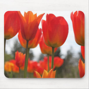 Mooie rode tulp bloemen. muismat