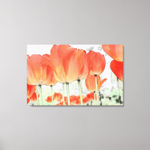 Mooie rode tulp bloemen verpakt canvas afdruk
