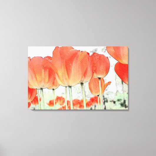 Mooie rode tulp bloemen verpakt canvas afdruk (Voorkant)