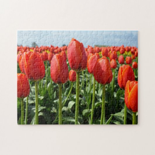 Mooie rode tulpen drukken puzzel (Horizontaal)
