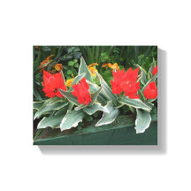 Mooie rode tulpen kleurrijk helder modern bloemmot