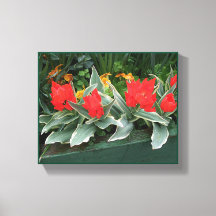 Mooie rode tulpen kleurrijk helder modern bloemmot