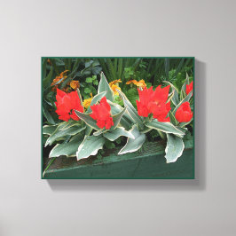 Mooie rode tulpen kleurrijk helder modern bloemmot canvas afdruk