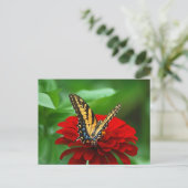 Mooie rode vlinderbloem briefkaart (Staand voorkant)