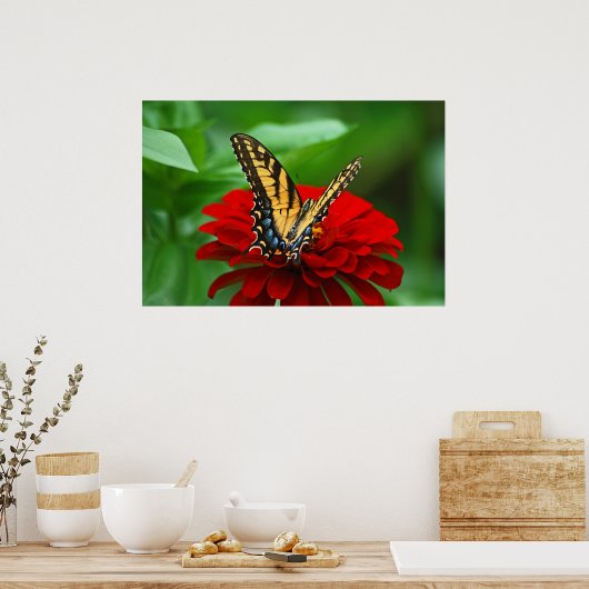 Mooie rode vlinderbloem poster (Keuken)