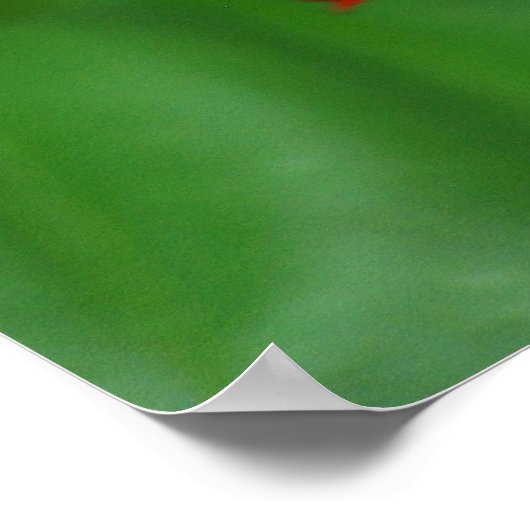 Mooie rode vlinderbloem poster (Hoek)