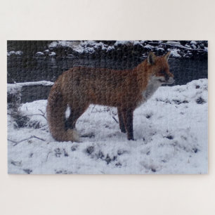 Mooie Rode Vos in Besneeuwd Bos Natuur Wilde Diere Legpuzzel