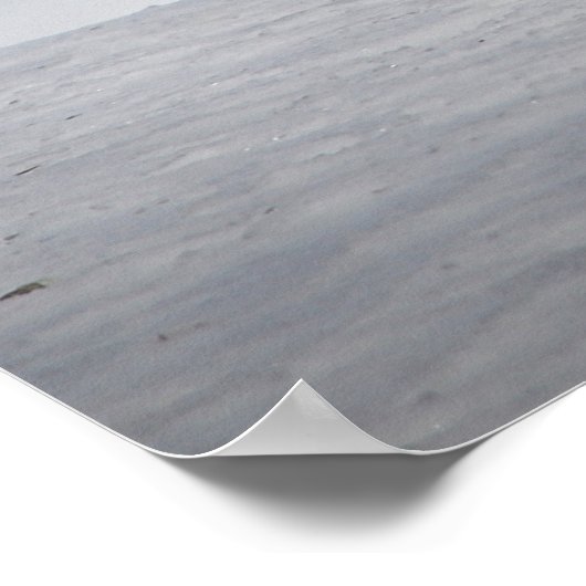 Mooie rode vos in sneeuw poster (Hoek)