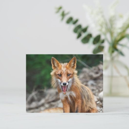 Mooie rode vos op stenen briefkaart (Staand voorkant)