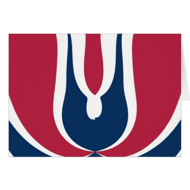 Mooie rode, witte, blauwe textuur kleur Abstract (Voorkant Horizontaal)