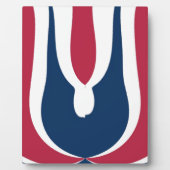 Mooie rode, witte, blauwe textuur kleur Abstract Fotoplaat (Voorkant)