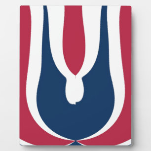 Mooie rode, witte, blauwe textuur kleur Abstract Fotoplaat