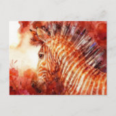 Mooie rode zebra briefkaart (Voorkant)