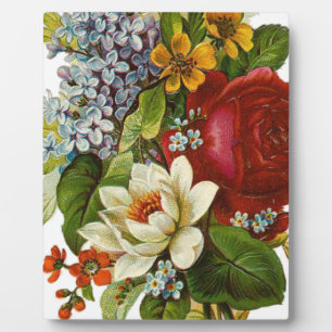 Mooie Romantische zomerkamp met Red Rose Fotoplaat