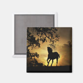 Mooie ronddraaiende paarden in de Sunset Magnet (Voorkant / Achterkant)