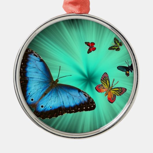 Mooie rondvliegreis metalen ornament (Voorkant)
