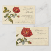 Mooie rood Roos ouderwets Visitekaartje (Voorkant / Achterkant)