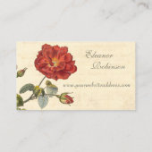 Mooie rood  Roos ouderwets Visitekaartje (Achterkant)