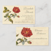 Mooie rood  Roos ouderwets Visitekaartje (Voorkant / Achterkant)