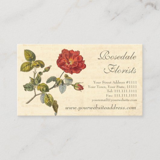 Mooie rood  Roos ouderwets Visitekaartje (Voorkant)