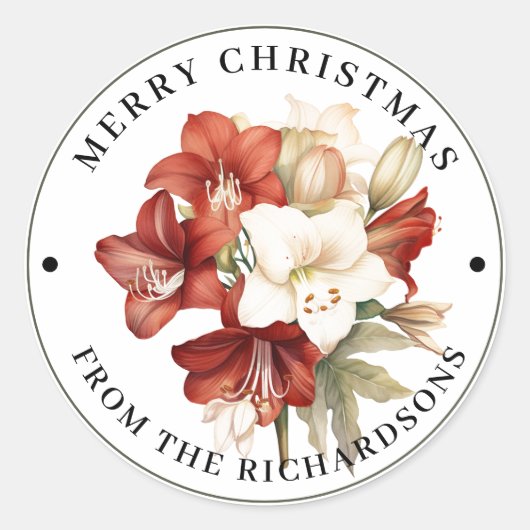 Mooie Rood & Wit Amaryllis Vrolijk Kerstfeest Ronde Sticker (Voorkant)