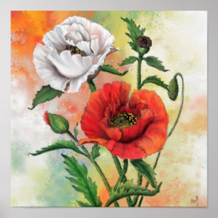 Mooie Rood Witte Klaproos Poster Schilderij