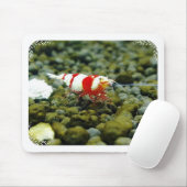 Mooie Roodkreeftenwinkel Muismat (Met muis)