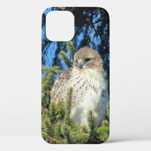 Mooie Roodstaatwouw Dennenboom Foto  Case-Mate iPhone Case