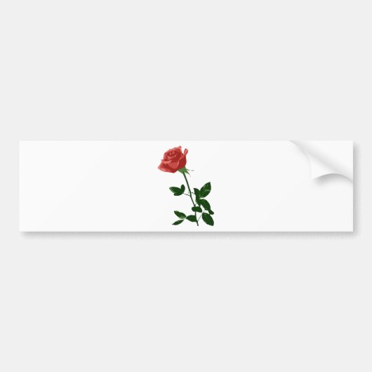 Mooie Roos Bloem Bumpersticker (Voorkant)