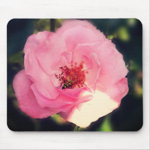 Mooie Roos Bloem Fotografie Muismat